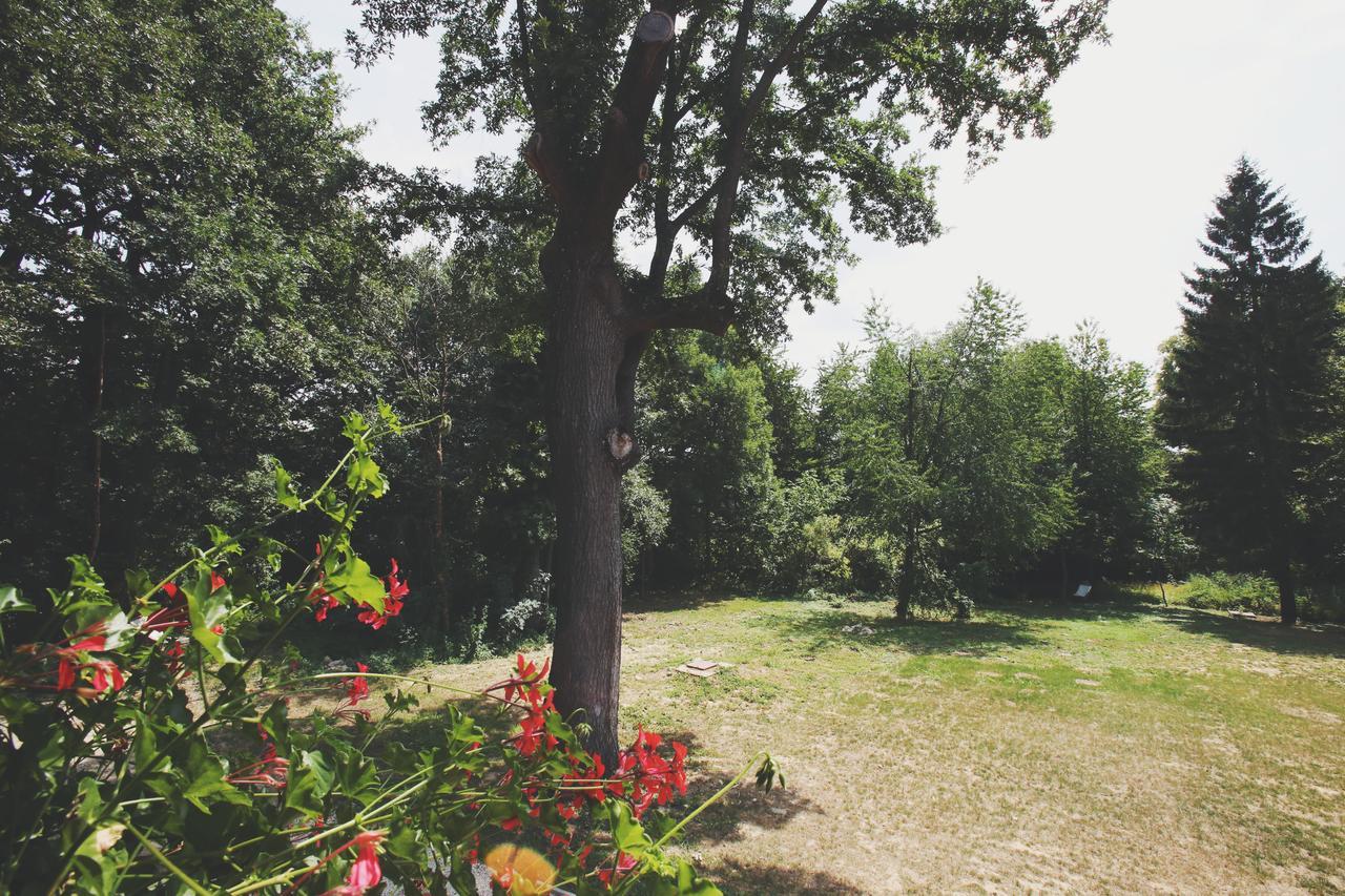 Hubertus Fogado Bed & Breakfast Csesznek Exterior photo